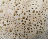 Une image de l'étape 3 de Crêpes mille trous (baghrirs).