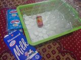 Milky Jelly Doger