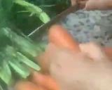 Une image de l'étape 2 de 🪹🍁Velouté carotte 🥕 🍊 orange 🍊 cannelle 🪵🍂.