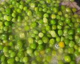 A picture of step 2 of Bihari Style Chura Matar.