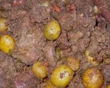 Foto langkah ke 4 dari resep Week 8 : Rendang!.