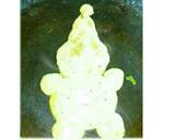 Uttpam in santa shape recipe step 4 photo