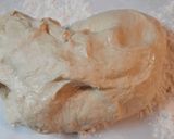 A picture of step 3 of Sandwich Rolls.