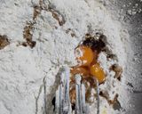Foto del paso 3 de la receta: Pionono dulce con dulce de leche y chocolates confitados