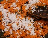 A picture of step 3 of Carrot stir fry.