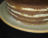 Foto del paso 19 de la receta: Tarta de chocolate y nata montada