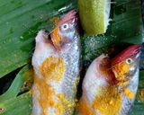 A picture of step 1 of Gondhoraj Pabda Paturi/ Kafir lime fish paturi.