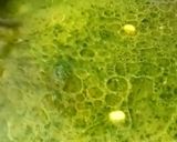 Foto del paso 4 de la receta: Arroz con choclo y pesto de espinaca