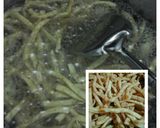 Foto langkah ke 5 dari resep Stik bawang / cucuk gigi bunda mutiah.