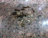 A picture of step 3 of Dal sultani.