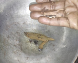 கிரீன் ப்ரான் மசாலா ரெசிபி ஸ்டேப் 4 புகைப்படம்