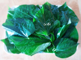 Ram CÁ cuốn lá lốt