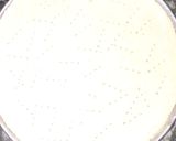 A picture of step 3 of Makke ka pizza.