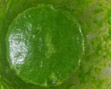 A picture of step 1 of Palak paratha.