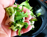 Foto del paso 1 de la receta: Ensalada de verano con salsa de mostaza y miel