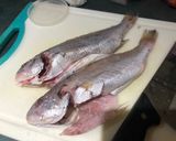 香煎春子魚的食譜步驟1照片