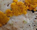 A picture of step 13 of Instant Rava Dosa.