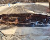 A picture of step 5 of Salame di cioccolato (chocolate sausage).
