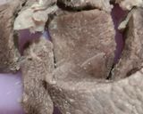 Foto langkah ke 1 dari resep Rendang daging sapi.