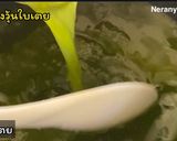 รูปขั้นตอนการทำที่ 7 ของ วุ้นกะทิใบเตย