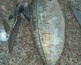 Une image de l'étape 1 de La saupe 🐟🐟🐟🐟 farcie au riz 🍚🍚🍚🍚/ crevettes 🍤🍤🍤🍤.