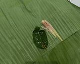 Foto langkah ke 3 dari resep Ayam Songkem Madura.