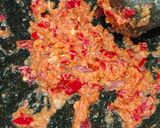 Foto langkah ke 2 dari resep Tongseng Daging.