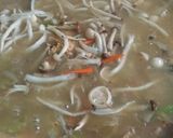 素羹的食譜步驟10照片