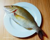 Foto langkah ke 1 dari resep Ikan Bakar Bumbu Parape (ala Makassar).
