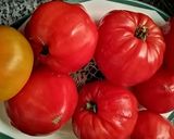 Une image de l'étape 4 de Cannelloni ricotta épinards🥬canelloni viande 🥩.