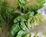 Foto del paso 8 de la receta Ensalada de lentejas