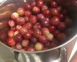 Alkaline - Seeded Grapes Juice recipe step 1 photo