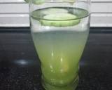 Coriander and Cucumber Juice recipe step 3 photo
