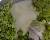 Hariyali Suji Dhokla recipe step 4 photo