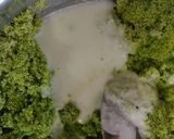 A picture of step 4 of Hariyali Suji Dhokla.
