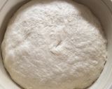 Foto langkah ke 3 dari resep Naan ft Garlic Butter.