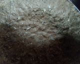 Foto del paso 4 de la receta: Masa 100% integral para tartas