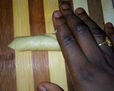 Fish rollmatakin girki12 hoto