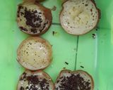 Foto langkah ke 9 dari resep Martabak Mini.