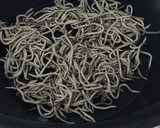 Foto del paso 4 de la receta: Tosta de pimientos con su pilpil y gulas en TMX