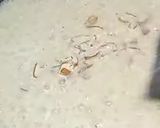 A picture of step 4 of Paneer kheer.