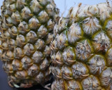Foto langkah ke 1 dari resep Selai Nanas Isian Nastar.