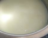 Homemade Mozzarella Cheese recipe step 10 photo