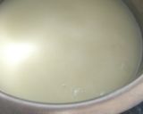 A picture of step 10 of Homemade Mozzarella Cheese.