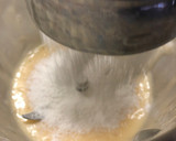 Foto del paso 2 de la receta: Magdalenas sin gluten, sin lactosa en Monsieur Cuisine Plus