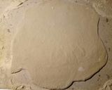 A picture of step 1 of Calzone.