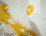 Foto del paso 1 de la receta: Natillas Exprés