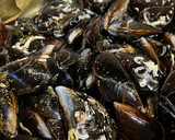 Foto del paso 1 de la receta: Mejillones en salsa de curry