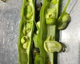 A picture of step 2 of Broad beans snack (fava beans).