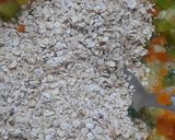 Foto del paso 3 de la receta: Bifes de pollo con tortilla de avena 😋